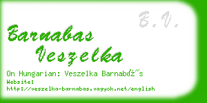 barnabas veszelka business card